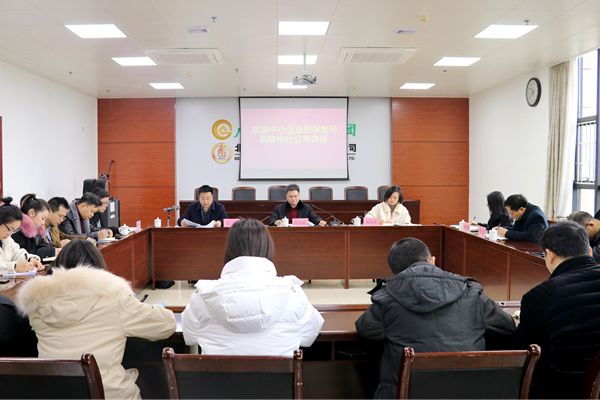 中小企業(yè)擔保領(lǐng)導到欽州分公司調(diào)研