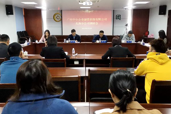 中小擔保領(lǐng)導赴北海、防城港調(diào)研 